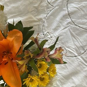 - While cotton tablecloth